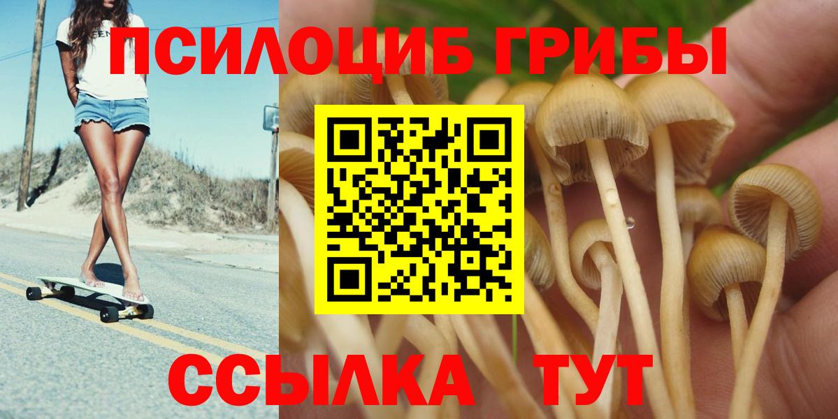 сколько стоит  Псилоцибиновые грибы мицелий  Вход с VPN  Стрежевой 